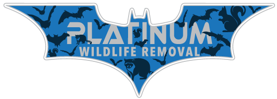 Huntington Wildlife Removal