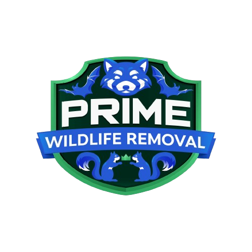 Huntington Wildlife Removal